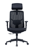 YNG Office Chair, Stylish Y-Frame Design with Full Ergonomic Adjustability